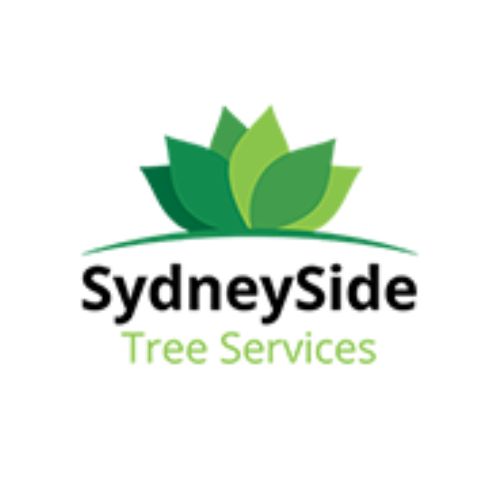 Tree Mulching Services Sydney: Transform Waste Into Garden Gold